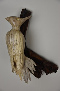 Pileated Woodpecker